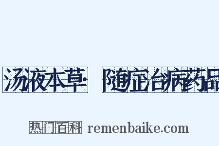 汤液本草·随症治病药品是什么意思的图片